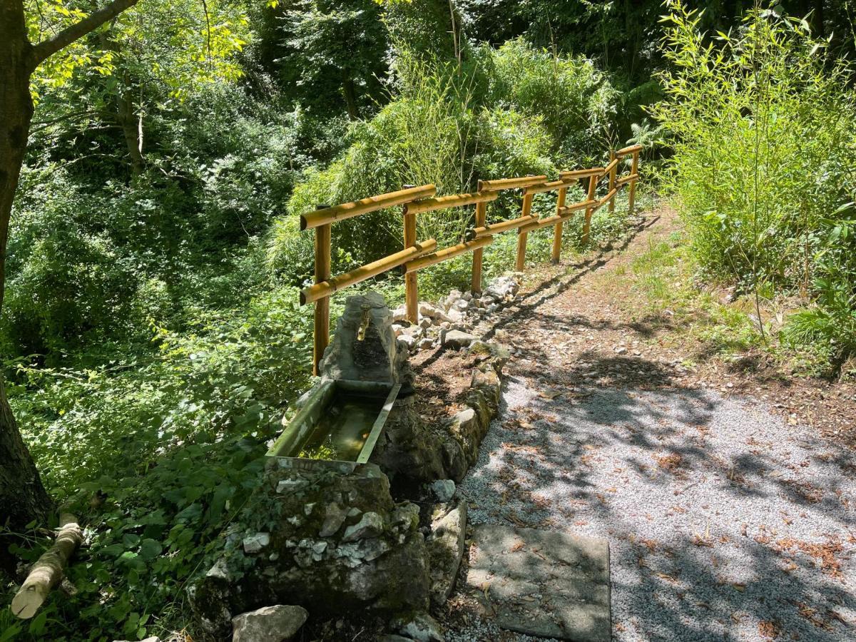 Appartamenti Lago Di Como Valbrona Dış mekan fotoğraf